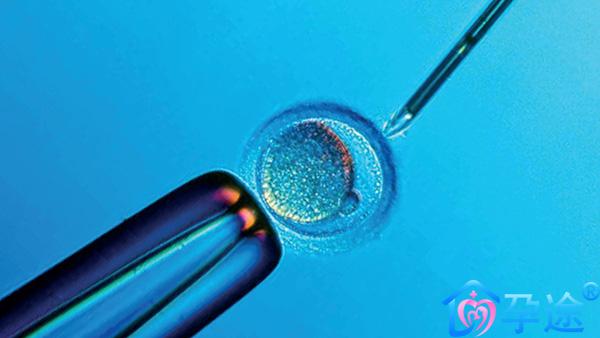 三代筛查后的胚胎为何有时候还是出现胎停育
