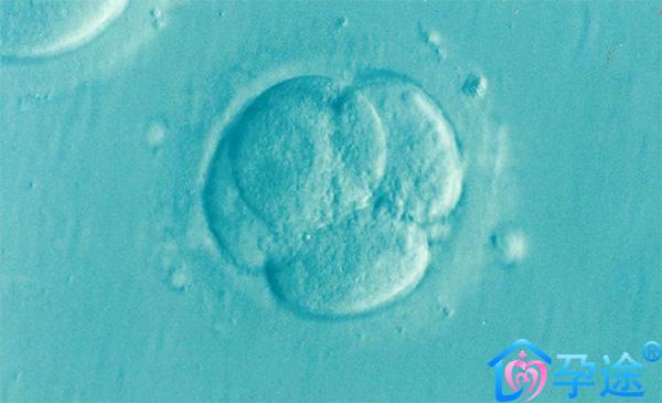 三代试管婴儿冻胚移植有什么优点？