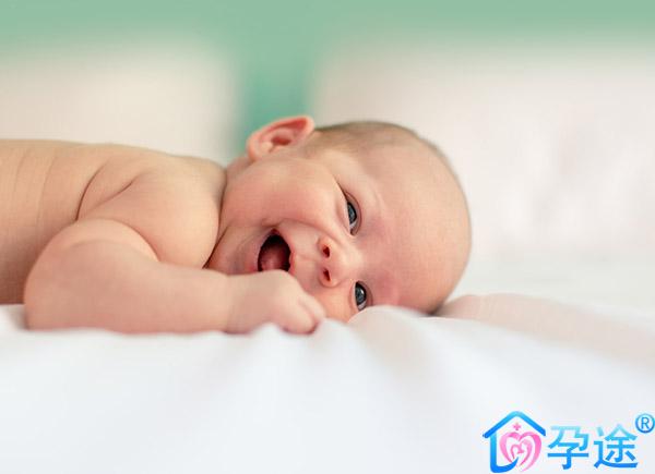 子宫内膜在试管婴儿成功中起到重要性作用