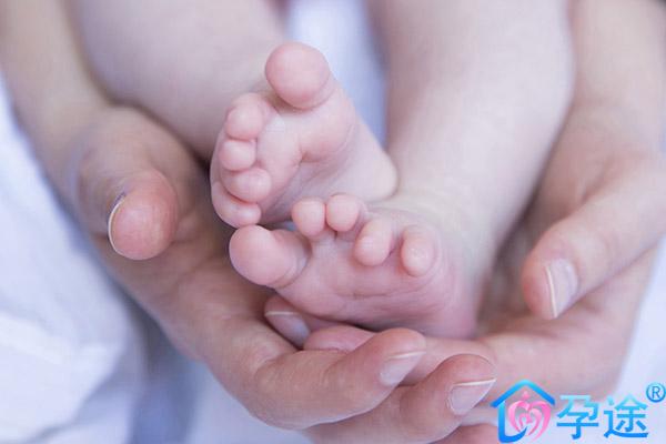 影响三代试管婴儿胚胎着床的四大主要因素