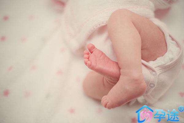 三代试管婴儿胚胎胚胎的培养液是什么