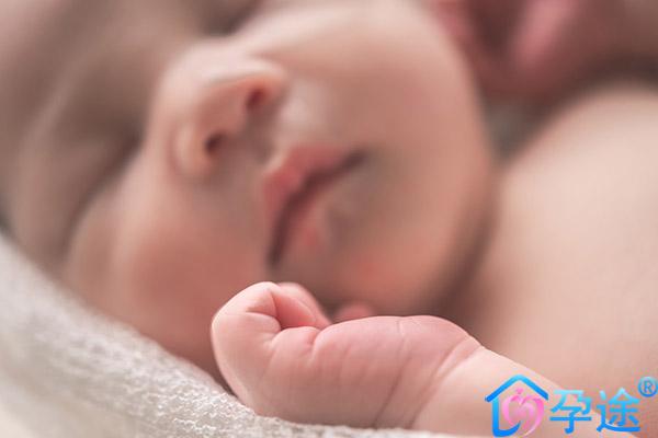 三代试管婴儿的囊胚培养过程