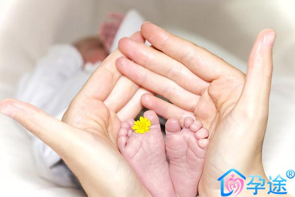 做泰国三代试管婴儿有卵巢囊肿影响成功率吗？