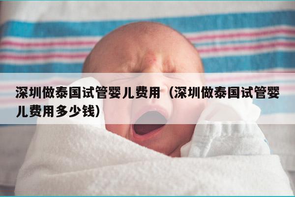 深圳做泰国试管婴儿费用（深圳做泰国试管婴儿费用多少钱）
