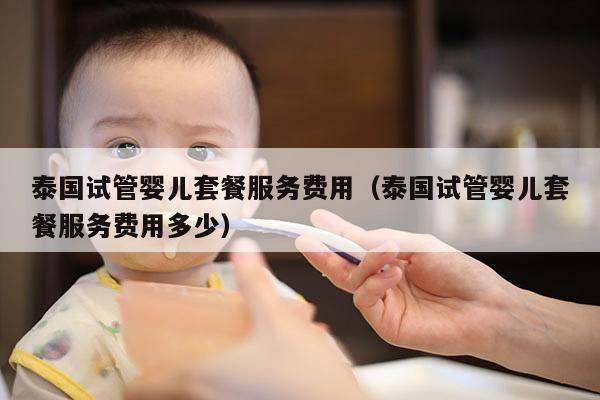泰国试管婴儿套餐服务费用（泰国试管婴儿套餐服务费用多少）