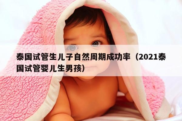 泰国试管生EZ自然周期成功率（2021泰国试管婴儿生NH）