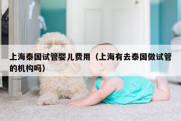 上海泰国试管婴儿费用（上海有去泰国做试管的机构吗）