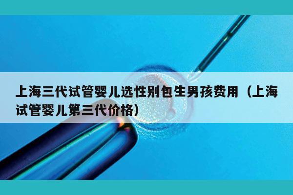 上海三代试管婴儿选XB包生NH费用（上海试管婴儿第三代价格）