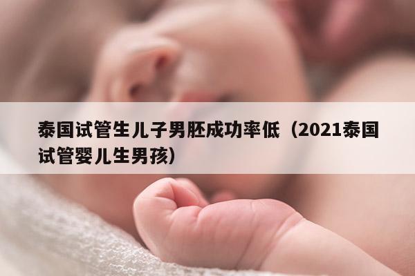泰国试管生EZ男胚成功率低（2021泰国试管婴儿生NH）