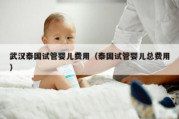 武汉泰国试管婴儿费用（泰国试管婴儿总费用）