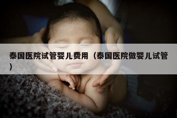 泰国医院试管婴儿费用（泰国医院做婴儿试管）