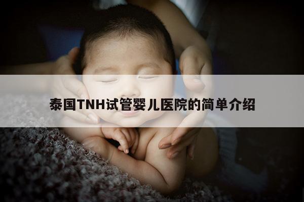 泰国TNH试管婴儿医院的简单介绍