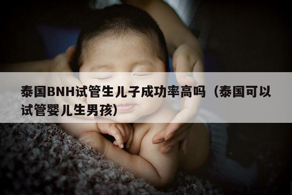 泰国BNH试管生EZ成功率高吗（泰国可以试管婴儿生NH）