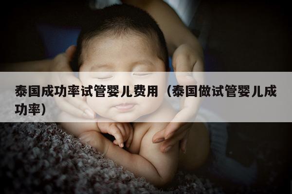 泰国成功率试管婴儿费用（泰国做试管婴儿成功率）