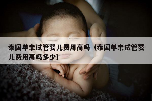泰国单亲试管婴儿费用高吗（泰国单亲试管婴儿费用高吗多少）