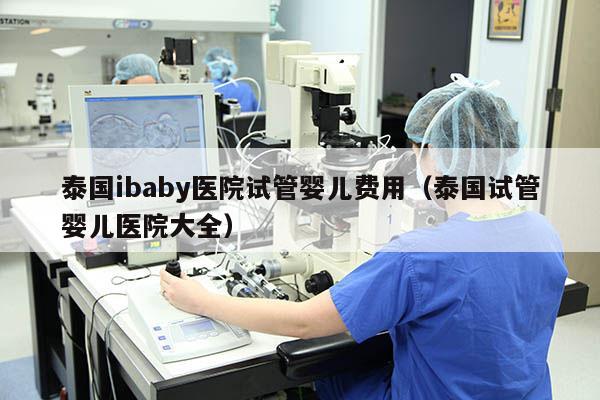 泰国ibaby医院试管婴儿费用（泰国试管婴儿医院大全）