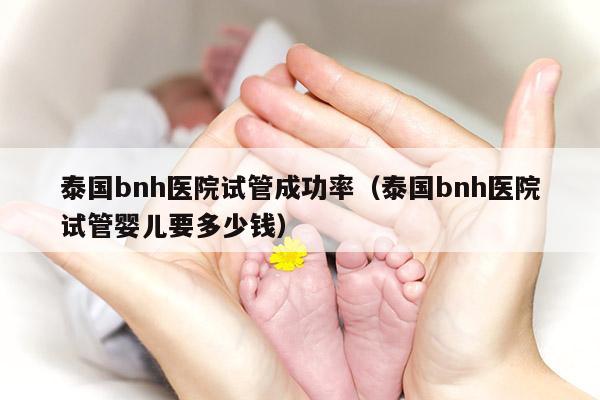 泰国bnh医院试管成功率（泰国bnh医院试管婴儿要多少钱）