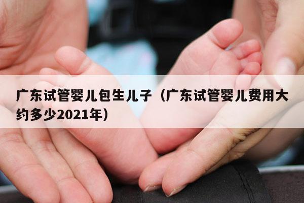 广东试管婴儿包生EZ（广东试管婴儿费用大约多少2021年）