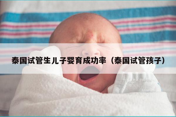 泰国试管生EZ婴育成功率（泰国试管孩子）