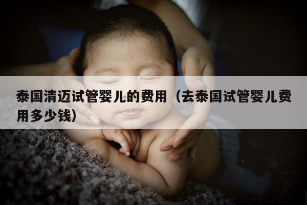泰国清迈试管婴儿的费用（去泰国试管婴儿费用多少钱）