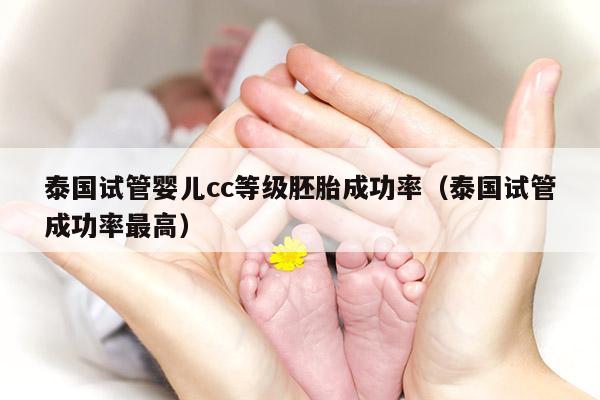 泰国试管婴儿cc等级胚胎成功率（泰国试管成功率最高）