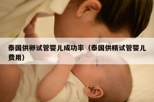 泰国GL试管婴儿成功率（泰国GJ试管婴儿费用）
