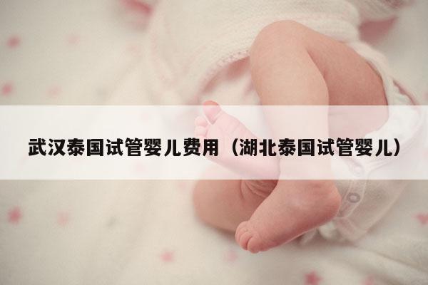 武汉泰国试管婴儿费用（湖北泰国试管婴儿）