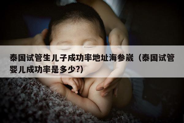 泰国试管生EZ成功率地址海参崴（泰国试管婴儿成功率是多少?）