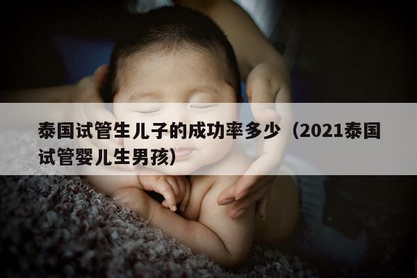 泰国试管生EZ的成功率多少（2021泰国试管婴儿生NH）