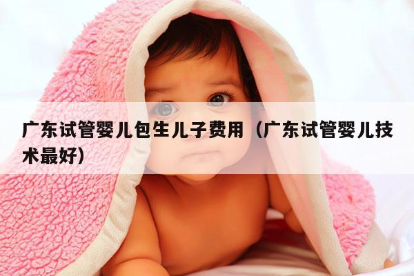 广东试管婴儿包生EZ费用（广东试管婴儿技术最好）