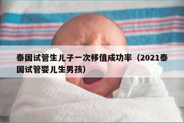 泰国试管生EZ一次移值成功率（2021泰国试管婴儿生NH）