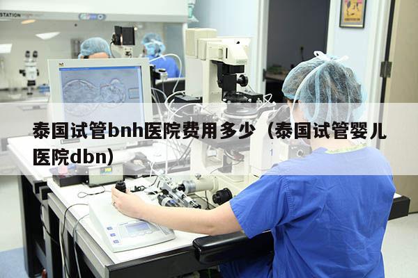 泰国试管bnh医院费用多少（泰国试管婴儿医院dbn）